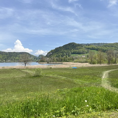 23-05-21 12-43-16 5517